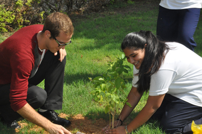 Plant-A-Tree-For-Peace-peace-Tour-in-Dubai-02