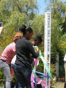 Students-plant-PEACE-in-Berkeley-CA_01